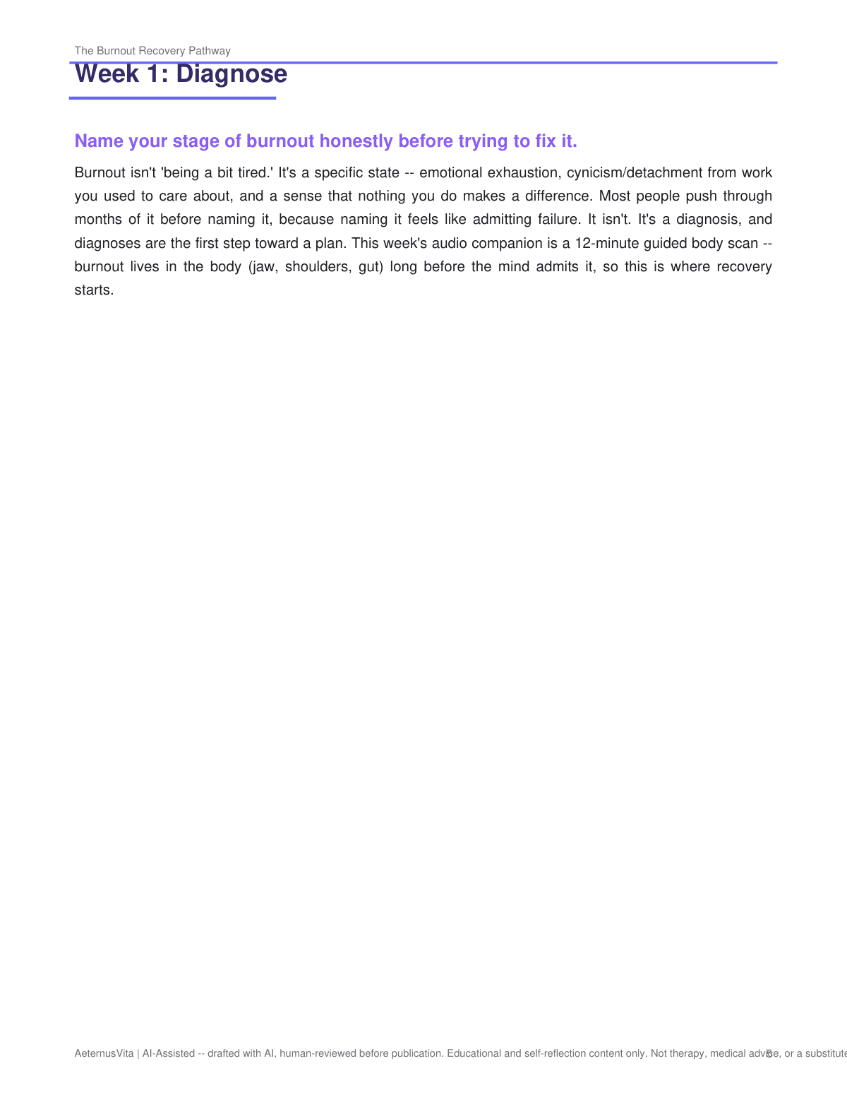 Burnout Recovery Pathway — An 8-Week Workbook to Rebuild Energy, Boundaries & Identity Beyond Work preview page 5