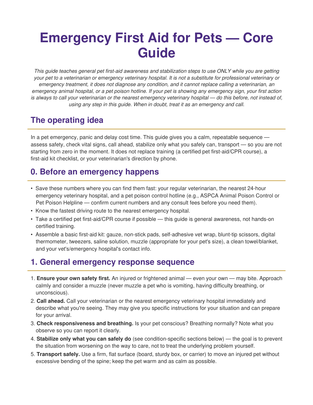 Preview page from Emergency First Aid for Pets